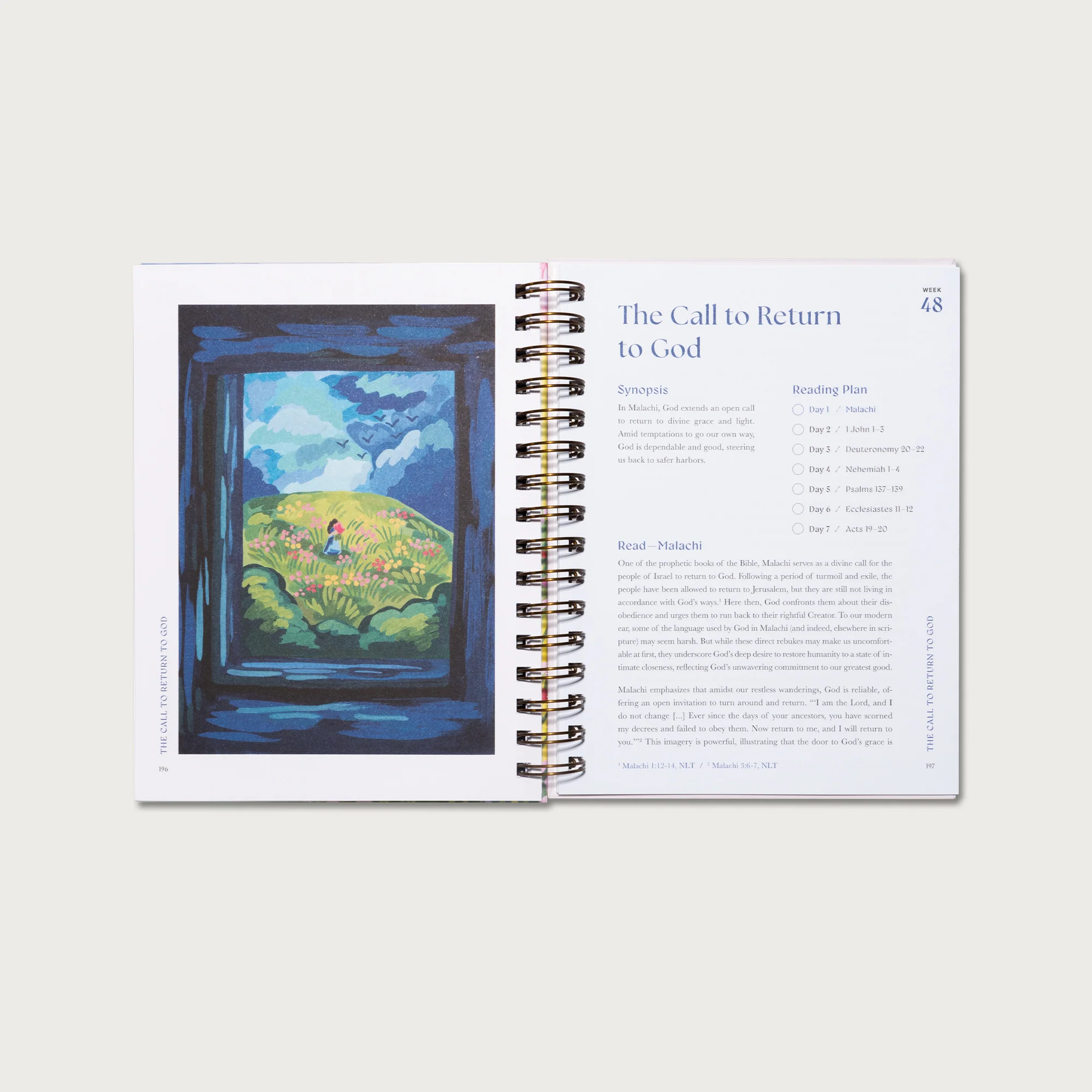 A Beautiful Year in the Bible: The 52-Week Bible Study for Women - Image 11