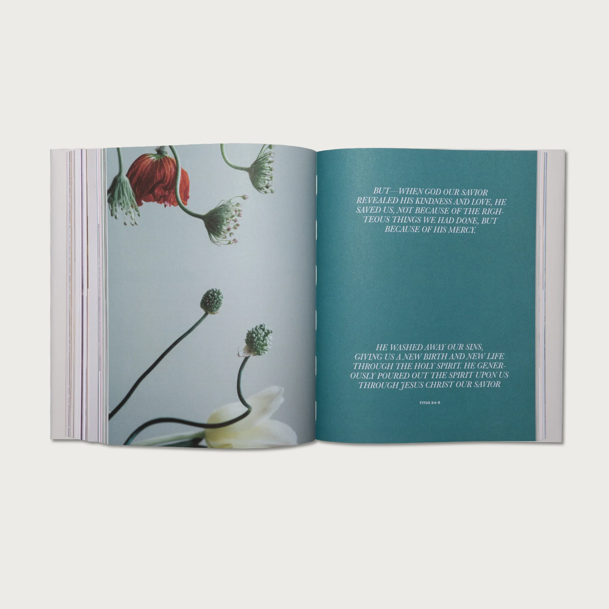 New Testament Collection - Image 12
