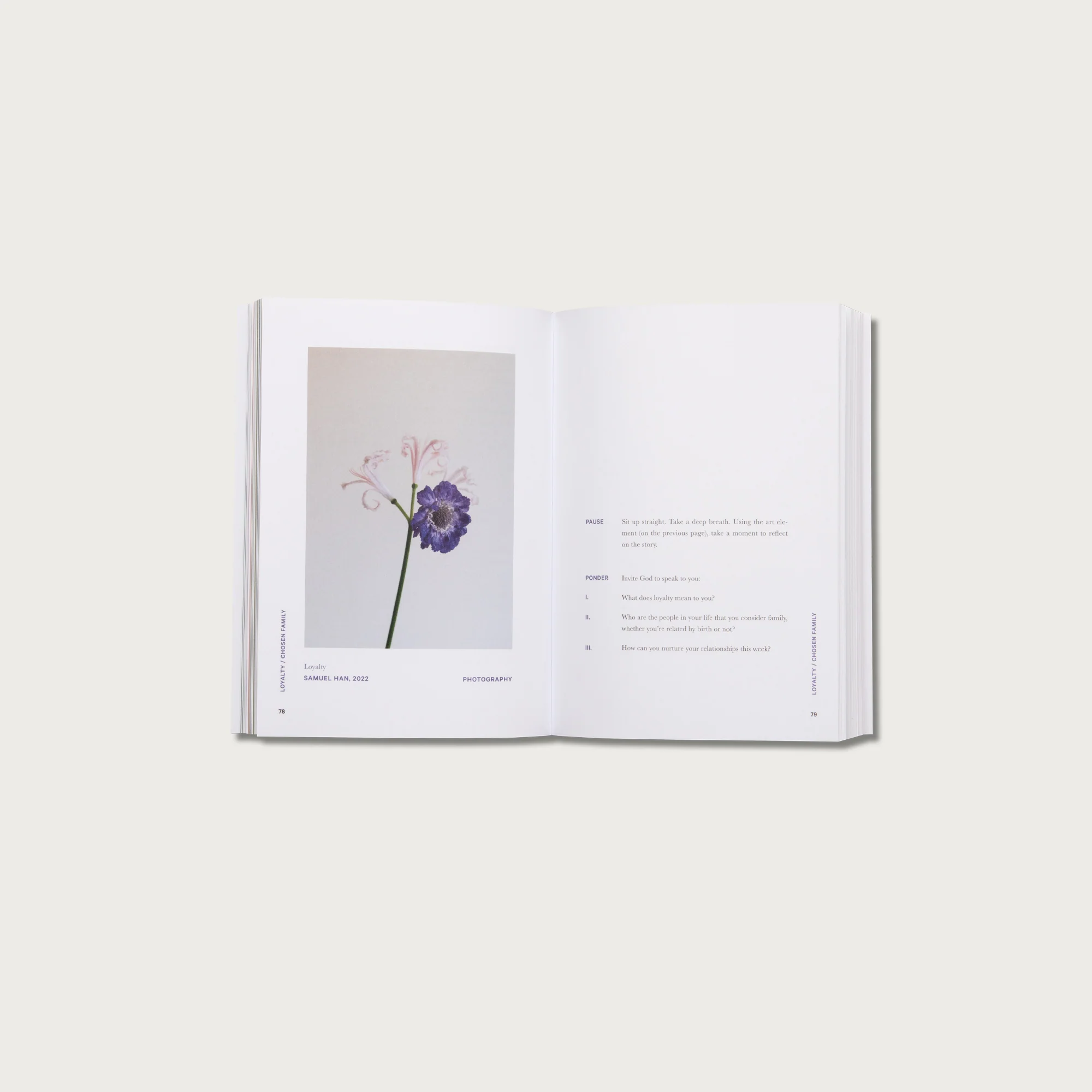 The Good and Beautiful Bible Study - Volume 1 - Image 8