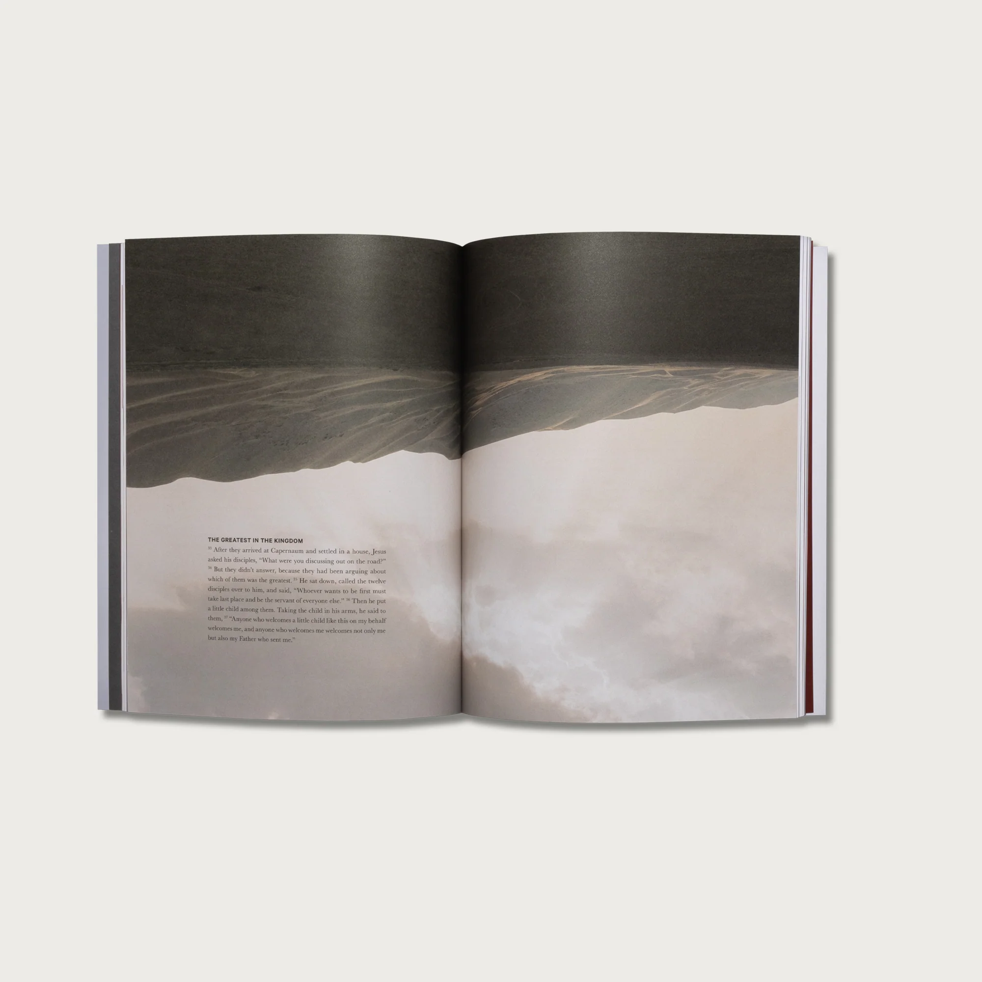 The Study Collection - Image 5
