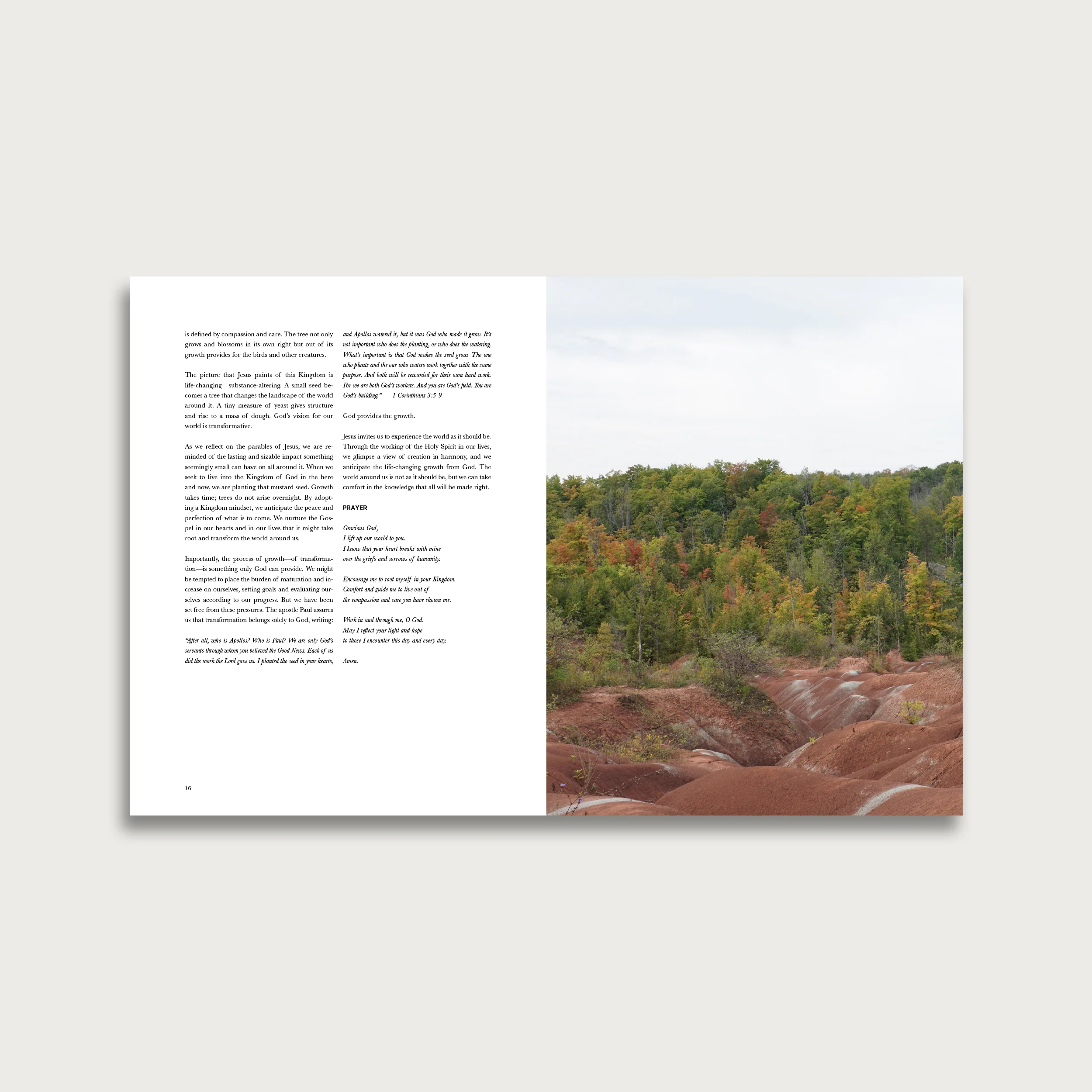 Visual Liturgies: On the Parables of Jesus (E-Book) - Image 3