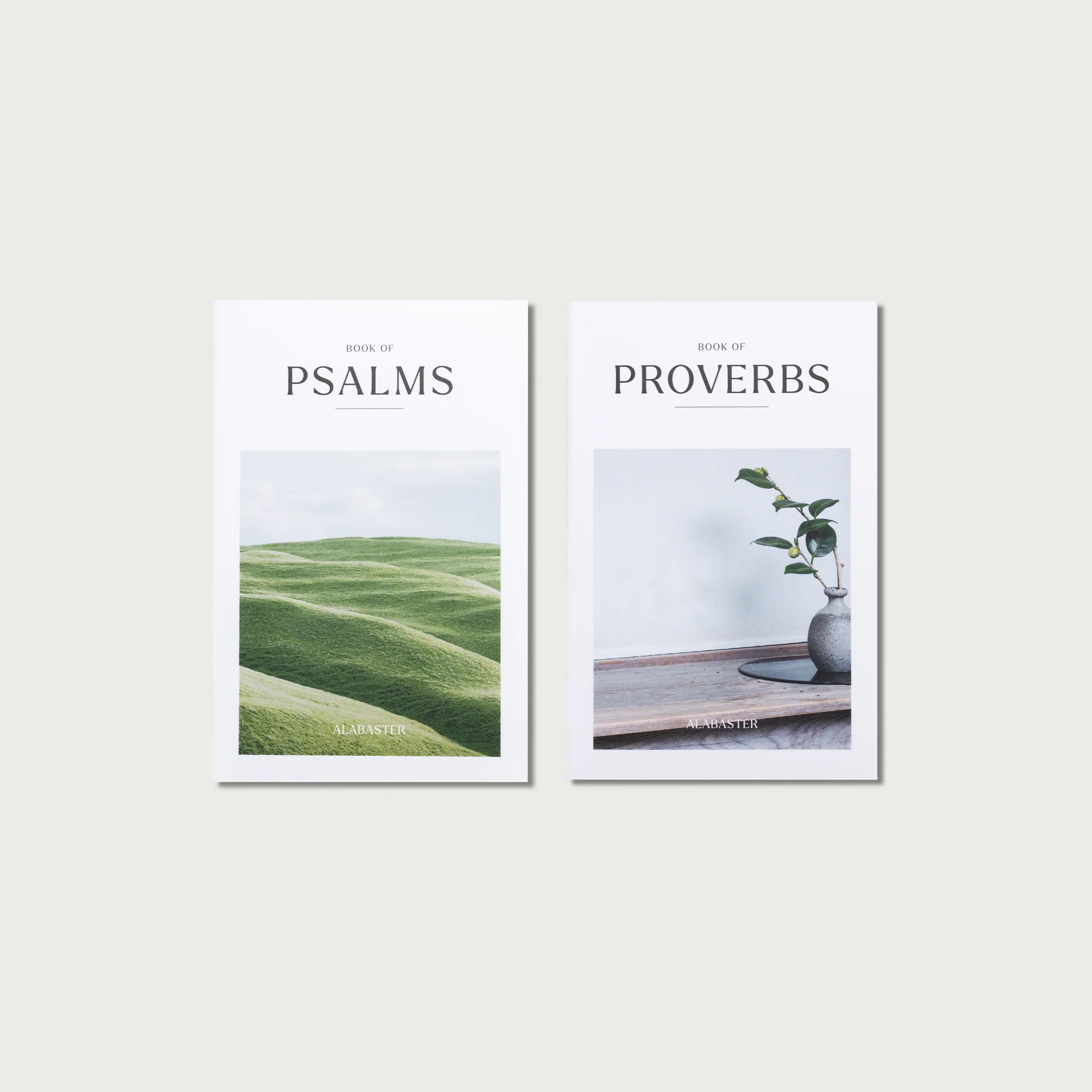 The Wisdom Pairing - Image 10